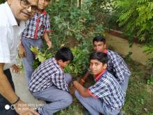 Plantation drive by Students of 2nd shift